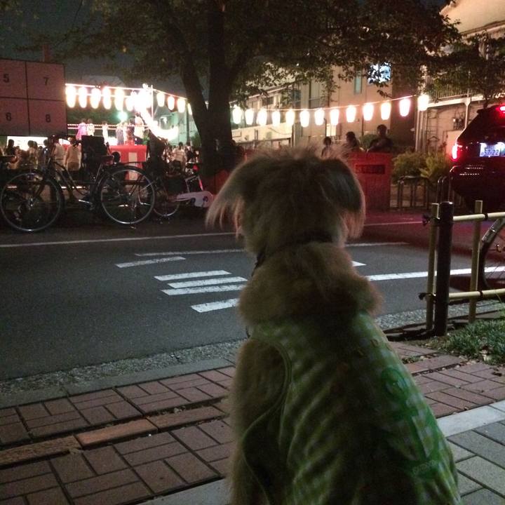 C3220d13 af63 46e7 83ed 1fbb8509c34a