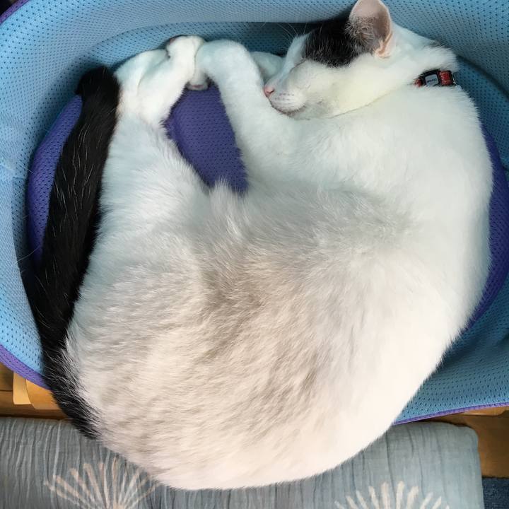 C3222f98 9ce8 46d5 8d31 8bcd2f843438