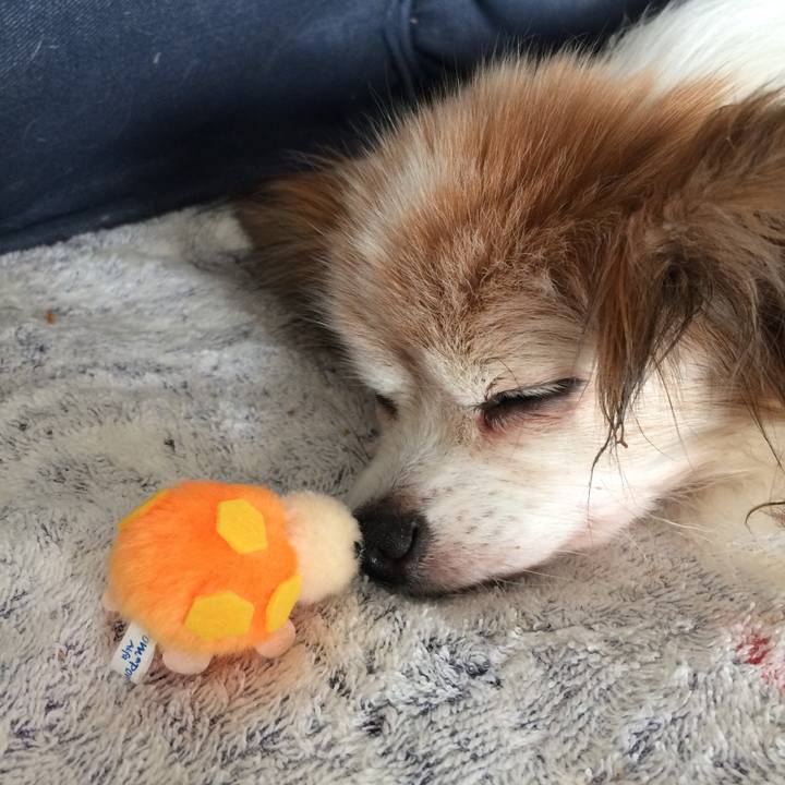 C322cb8e f372 4967 8035 be3e06977e66