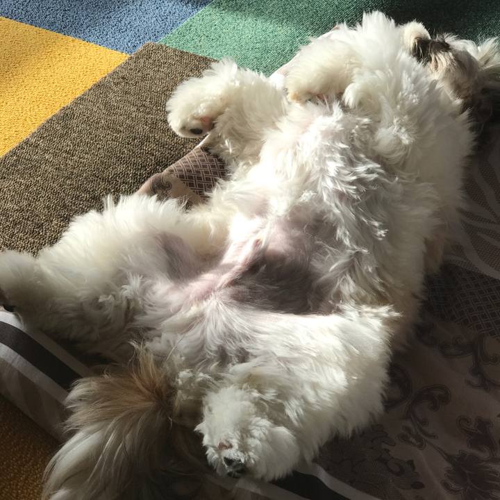 C323bf7e 65e8 48bd a456 fbdfa7a760b1