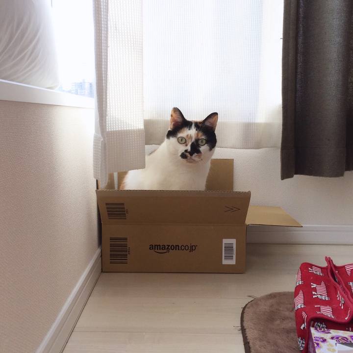 C323f9e3 26d9 4ed0 b0fd 0fb3ff6b4701