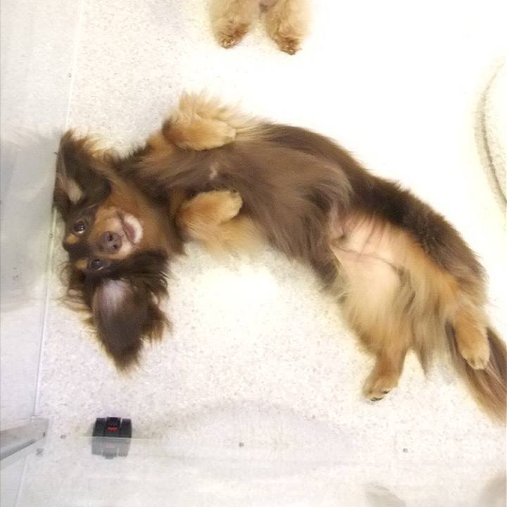 C3243bee 5671 446f adc9 56c8cd9fe671