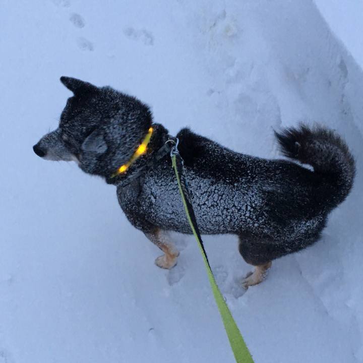 C3243ec6 f338 4f51 b20a 97e25de0134f