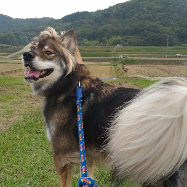 C324628e 49fd 414a 90b2 bdadaadf3fce