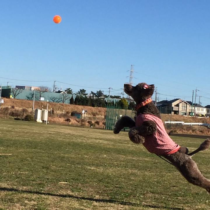 C3247879 7319 4b6e 94a7 750d8fe667e3