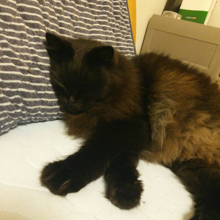 C32519e3 8e20 4cfa b5a5 a27c89a69500