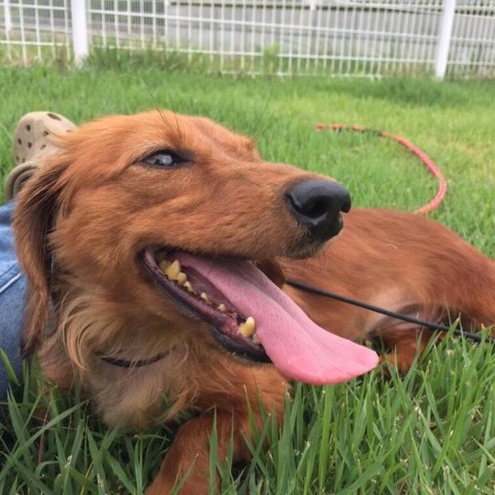 C3252cca 070c 498b 9ef4 d99221a63bfb