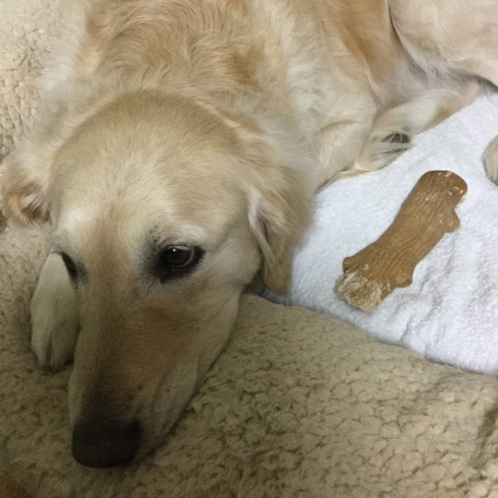 C325d85f e544 4c14 adb0 e56ef76861a1