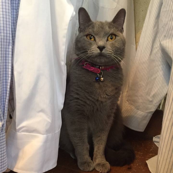 C325fbd5 16f8 4f42 9edb 97c5abfa987f