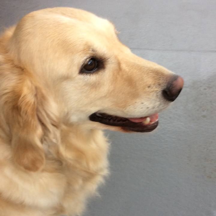 C326319f c71c 4406 a01f 9b4cfe79e483