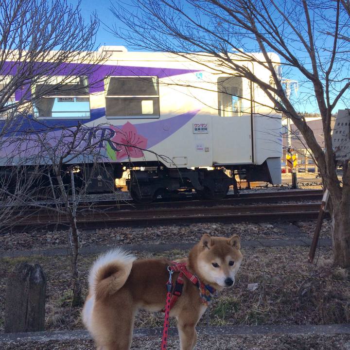 C3263b07 884a 444b 8028 ca291778ff39