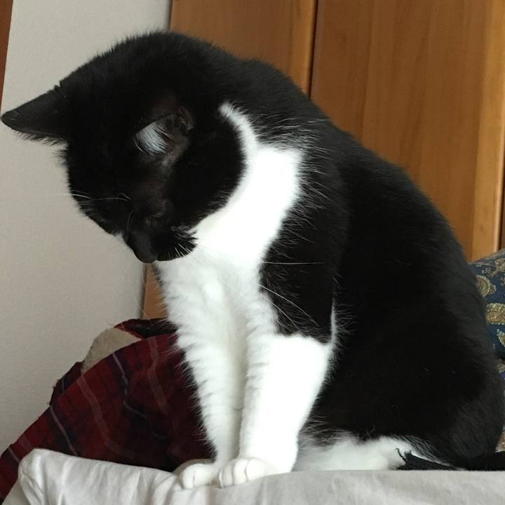 C326b93e 4ae7 4aa7 a0f8 b33e9e5fe725