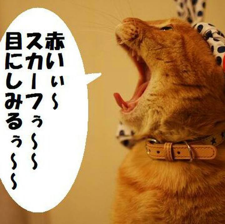 C326d325 d47e 45d8 a0ed 762034c4a97b