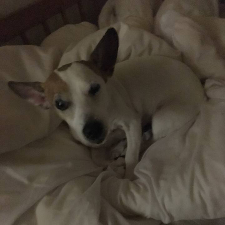 C3272abd e30f 463e 8893 21ecbe721495