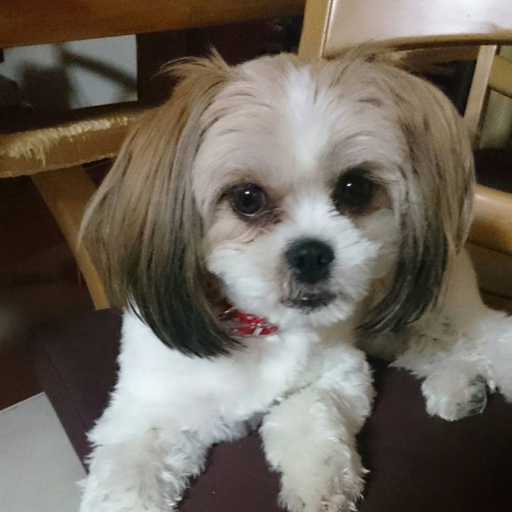 C327adbb ac8c 4066 b38d 6baf6f60b330