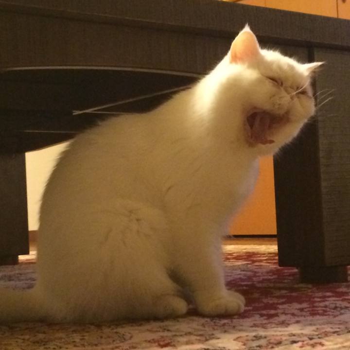 C3289322 65db 4554 bb42 90c987d3a0f7