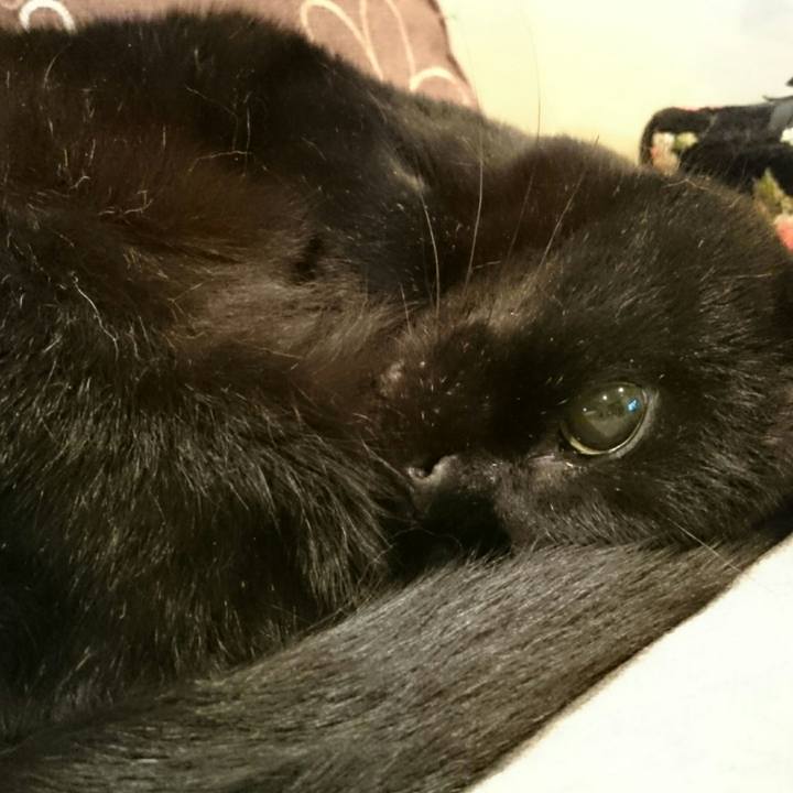 C329d0d5 d211 4931 8e0d 3a95f638d79b