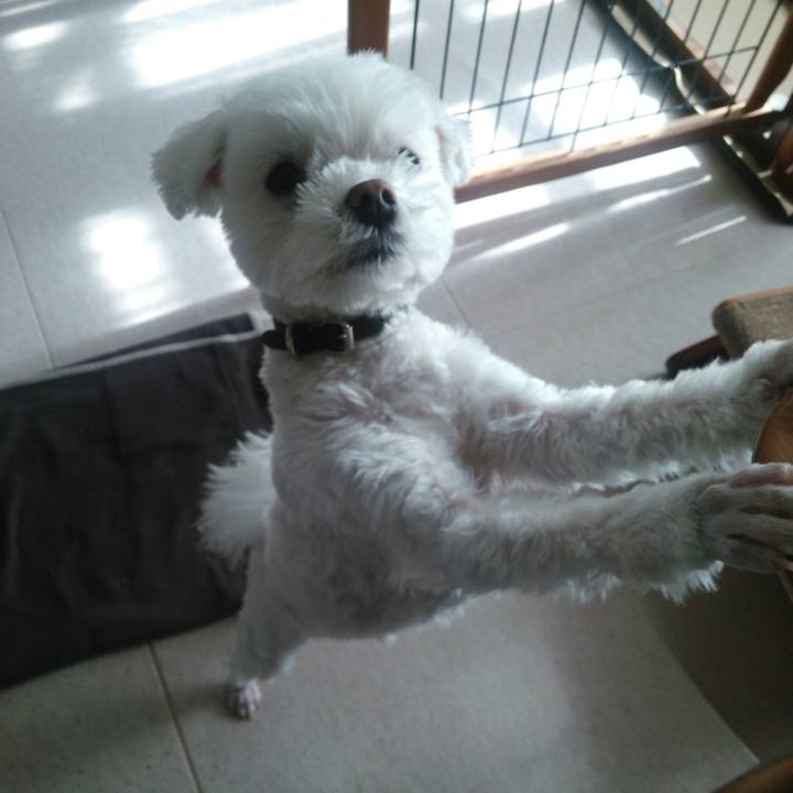 C32a0122 9742 4865 80c2 c6857874ffaa