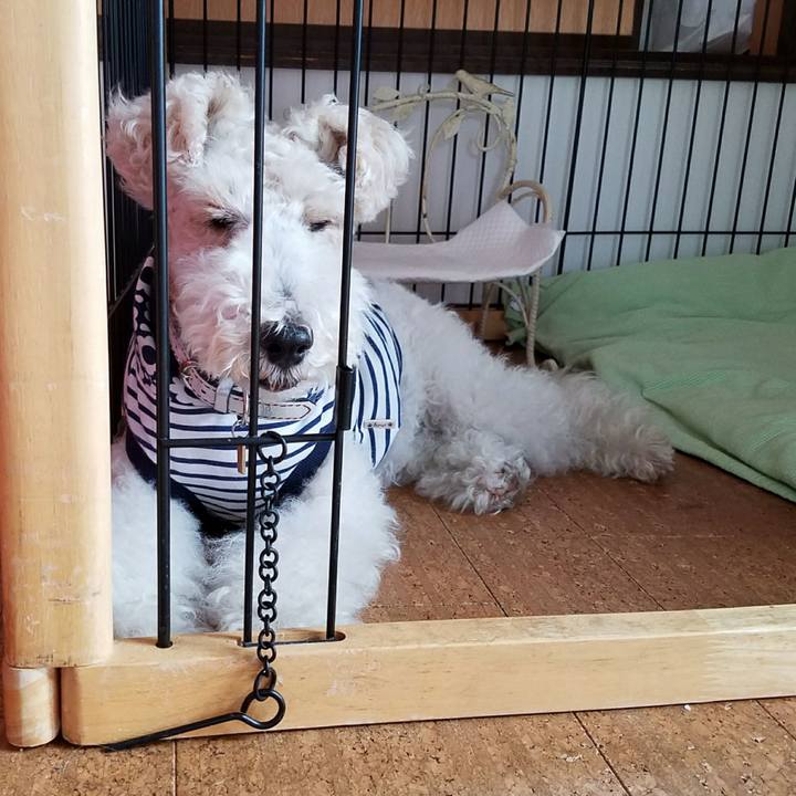 C32a5d8f e76f 4d6a b61e 918e43c52e5c