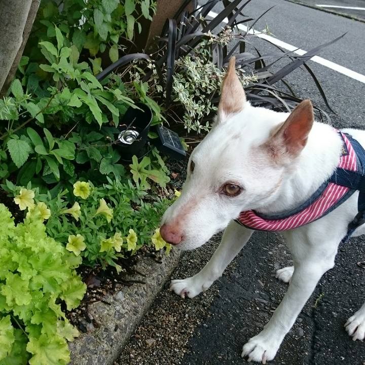 C32aec3b 0589 4f38 b676 3b382538067b