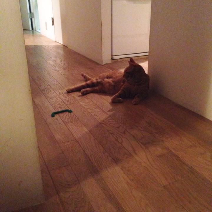 C32c6b2e f093 48c2 8a22 09b1a7a32722