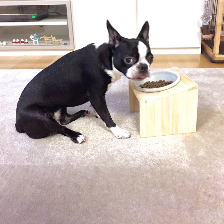 C32ca8a5 0983 4c32 8fd3 190bdd91a1a6