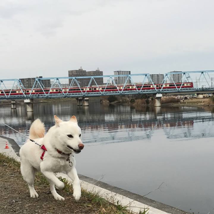 C32cf4f1 16d7 428e 9284 8f39264077f7