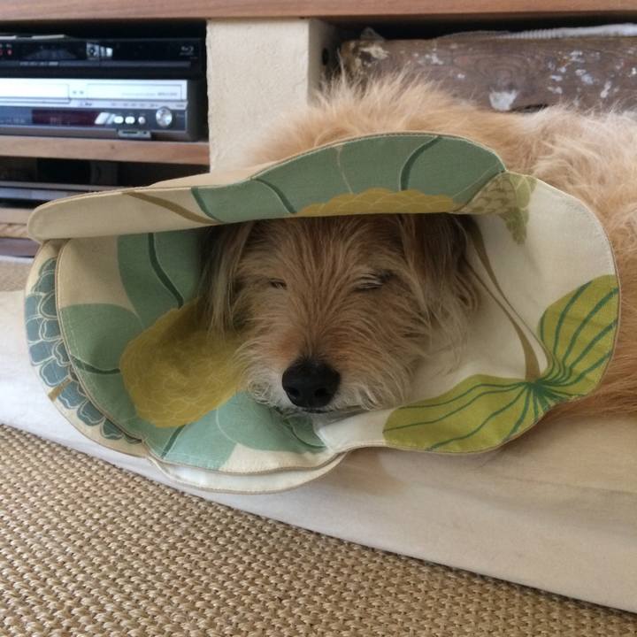 C32cfeb5 8d2d 4595 bb2e 8e7c795f814b