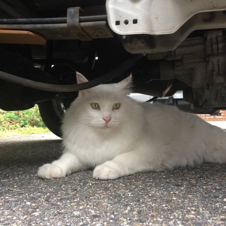 C32d2eed b1dd 46d3 bc23 bbaafcc26eda