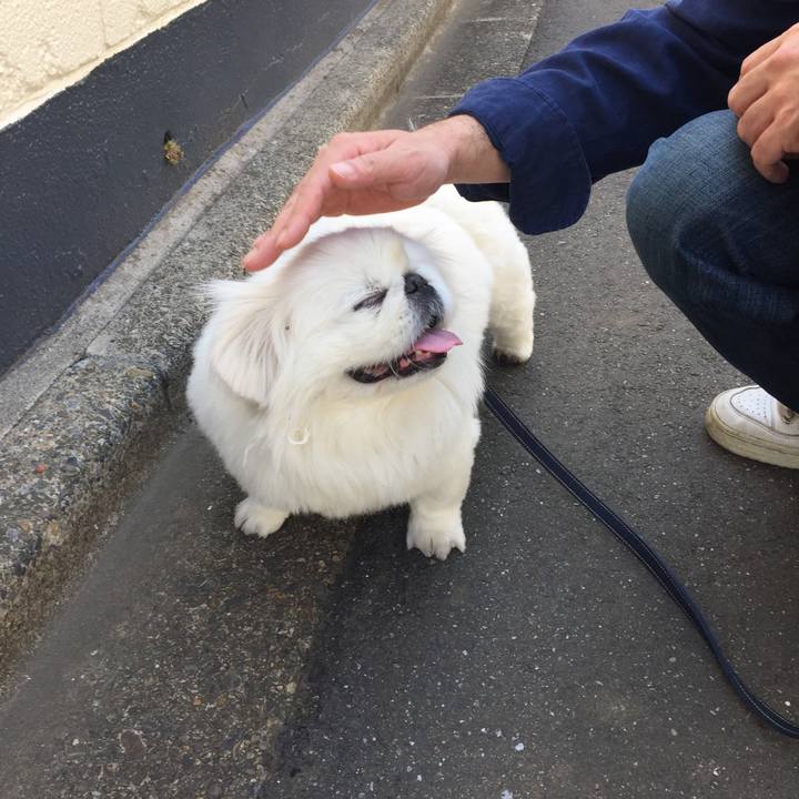 C32db8f9 2a09 4f7f 82c4 6ca445f0584d