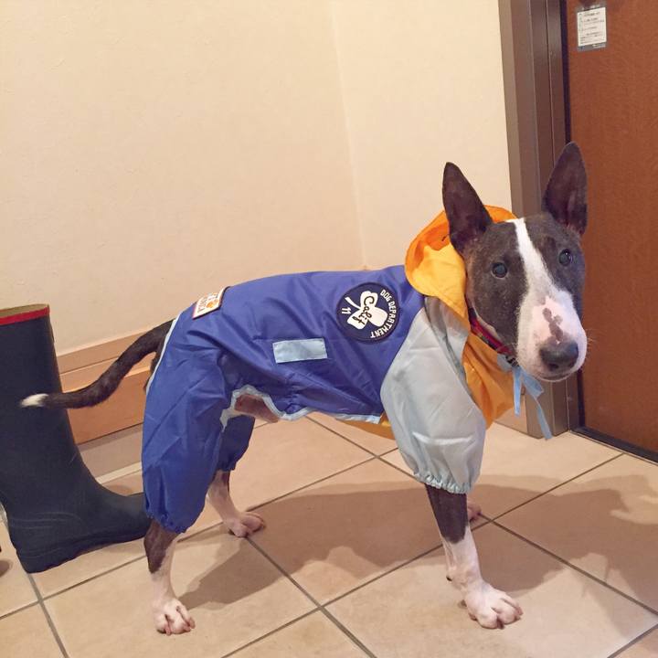 C32dcc85 852e 451e 8eed 11eabb56ee82