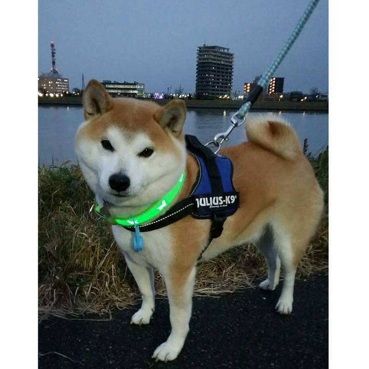 C32e3d34 e664 4c26 a958 559018f035fc