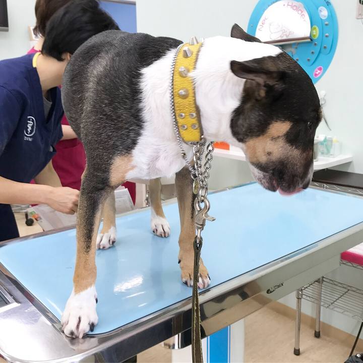 C32ec807 e8ab 4fb8 9fae 424f9924b91a