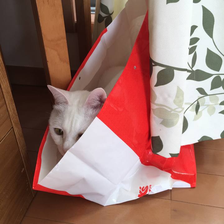 C32f01b0 e9e7 451e 8d1a 020cf2b283ce