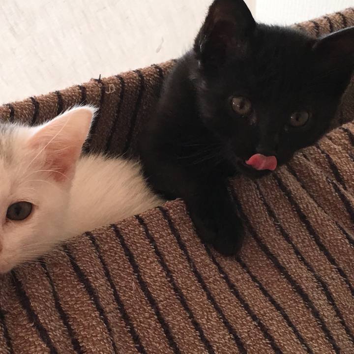 C32f2977 e616 4ebb b517 7e29f1430359