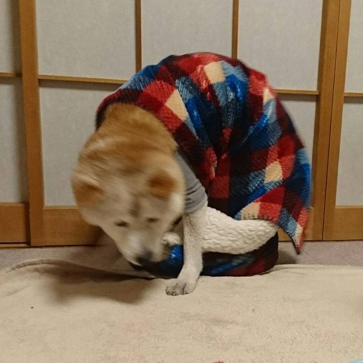 C32f4e38 70c1 459d a287 6c3c98304efb