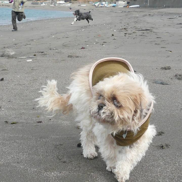 C32fb01a dd90 4426 a6da 4807866b5014