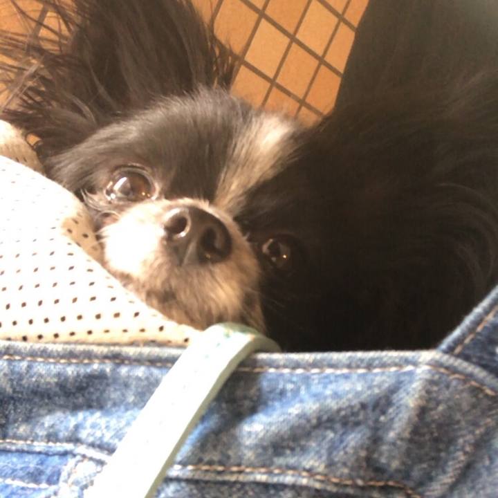 C32fcd54 c18e 4f03 9551 6ad976a55ad8