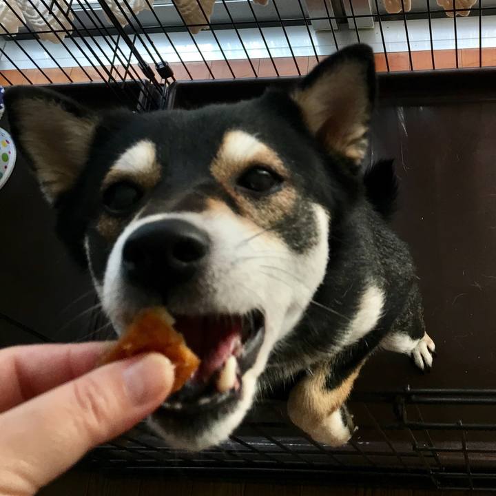 C32fffb7 9ffb 45b5 b580 dd69be9df39e