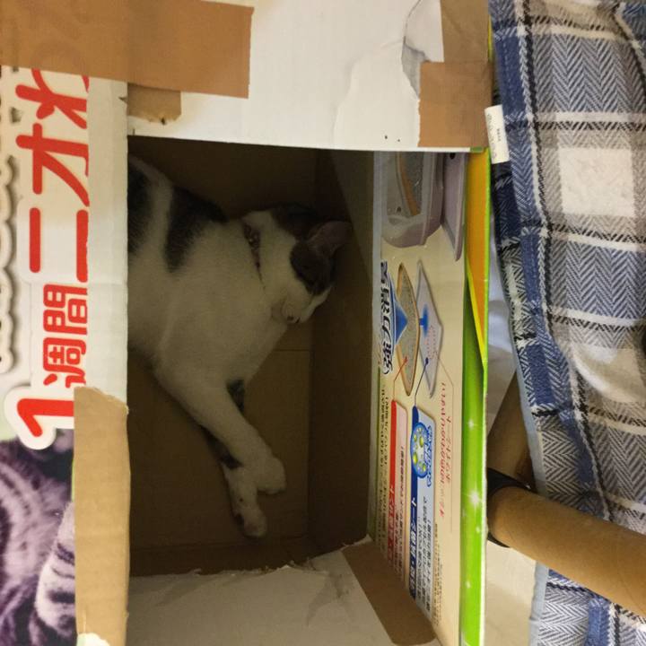 C33057f0 545f 437b 8303 562e8e08549a