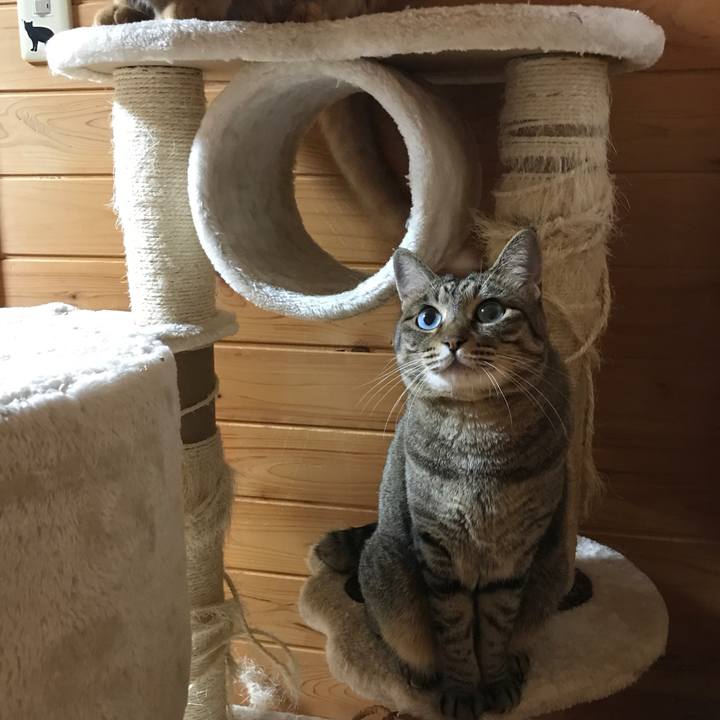 C3307a29 00a1 495d 9ff9 226728e4fa19