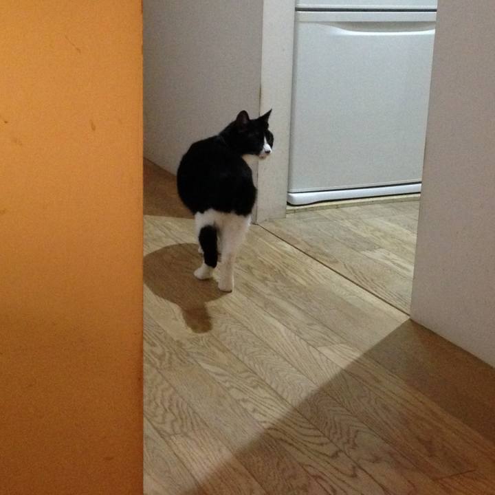 C331fb28 f26b 4d27 9c1c a542fb1ba4e0