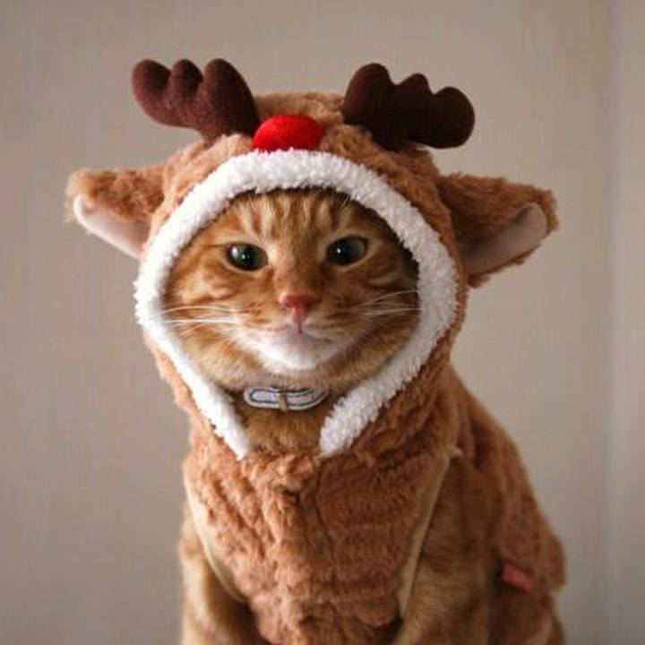 C3325156 3da9 41f8 bc52 ce3405cef6bc