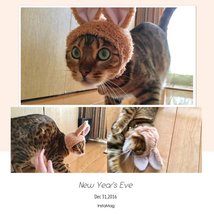 C3325a84 a840 4832 a765 969ba24bb346