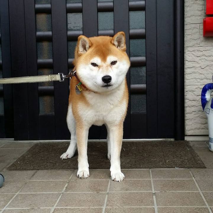 C332d2e9 708c 431b 8fe0 d8904c30aa98