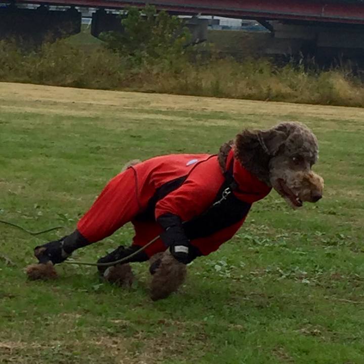 C334087d e5f3 4852 abe5 acfaf10a0af5