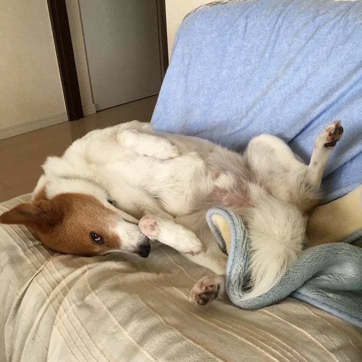 C334ad27 6f33 414e 91c7 da834aa9b4e9