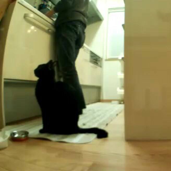 C335f8bd 145a 4177 bf5a 86de4cb0ef46