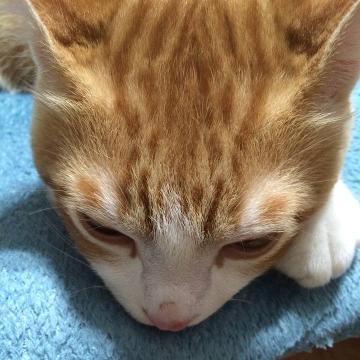 C33745ea 5605 4529 adeb a4d997a68042