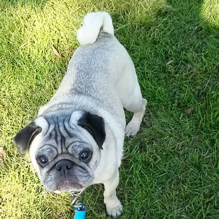 C337d1a9 9568 453a a486 bf726985397d